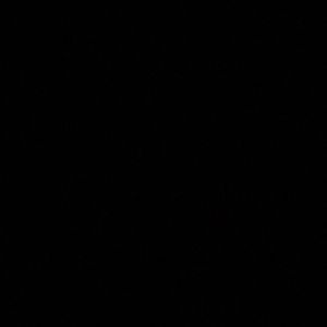 Meet your Posher, Ellis